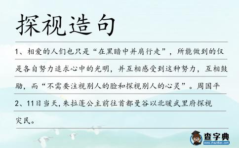 探視造句