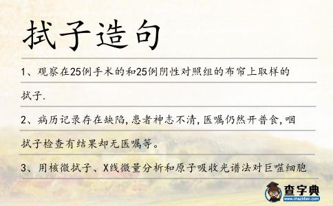 拭子造句