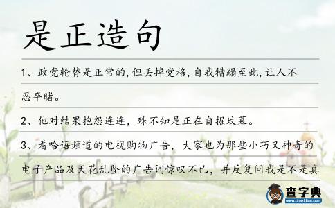 是正造句