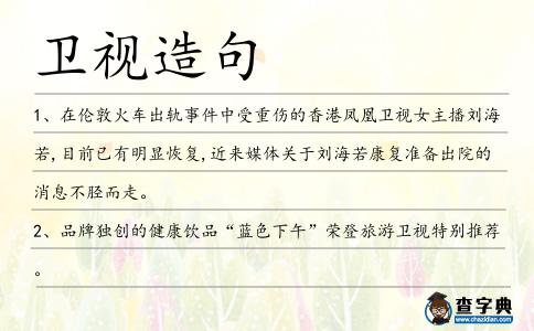 衛(wèi)視造句