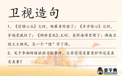 衛視造句