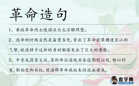 革命造句