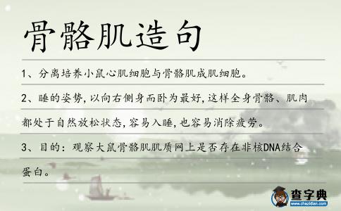 骨骼肌造句