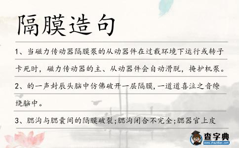 隔膜造句