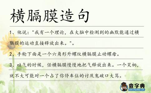 橫膈膜造句