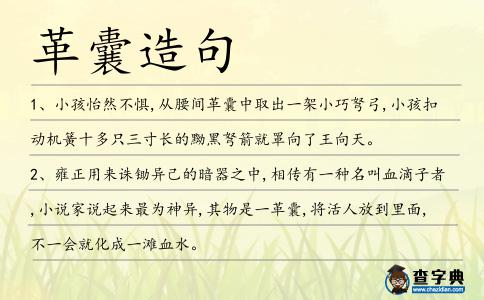 革囊造句