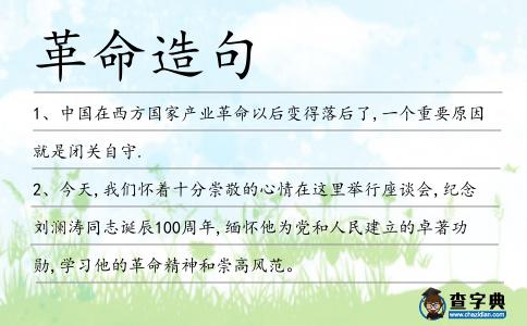 革命造句