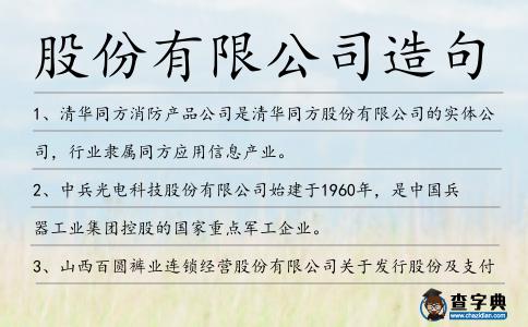 股份有限公司造句