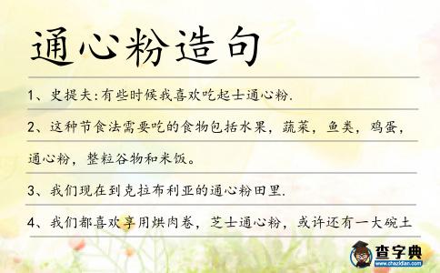 通心粉造句