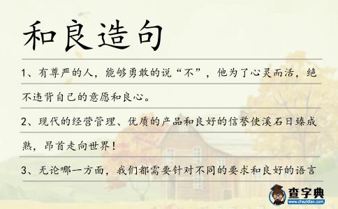 和良造句