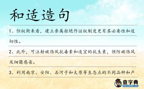 和適造句