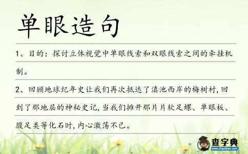 單眼造句