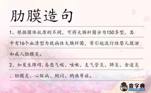 肋膜造句