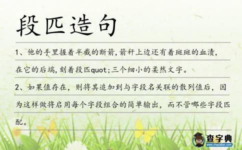 段匹造句