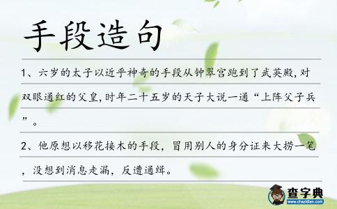 手段造句