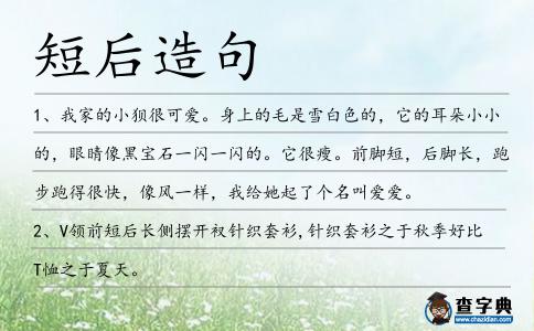 短后造句