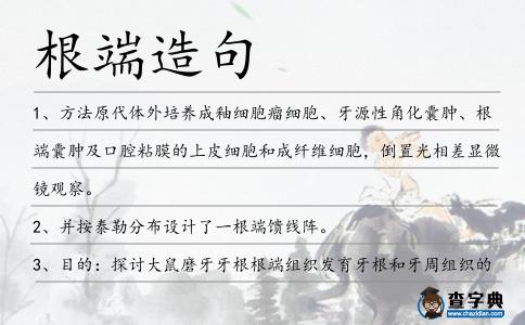 根端造句
