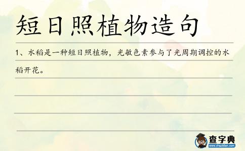 短日照植物造句