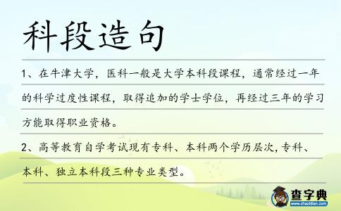 科段造句