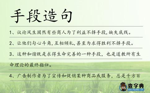 手段造句