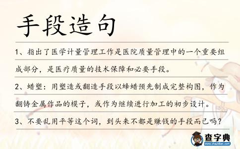 手段造句