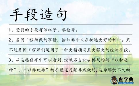 手段造句