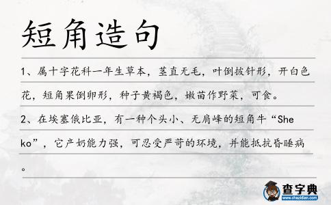 短角造句