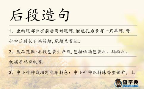 后段造句