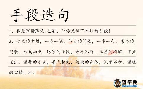 手段造句