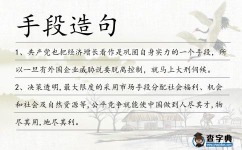 手段造句