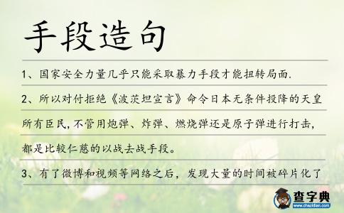 手段造句