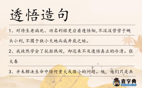 透悟造句