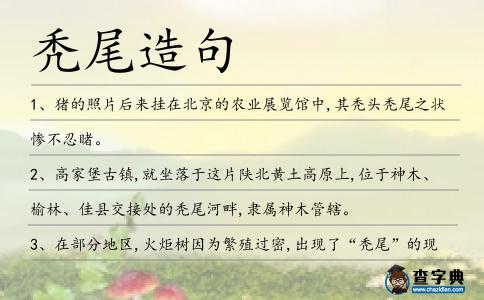 禿尾造句
