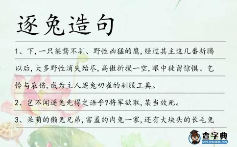 逐兔造句