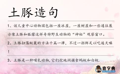 土豚造句