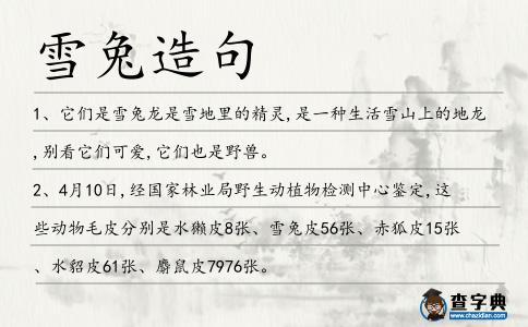 雪兔造句
