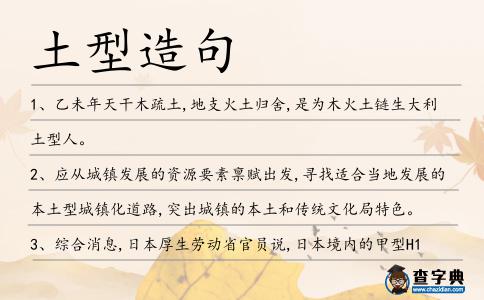 土型造句