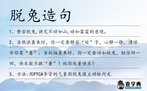 脫兔造句