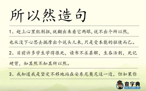 所以然造句