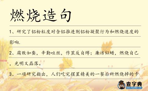 燃燒造句