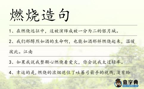 燃燒造句