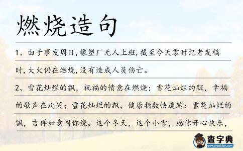 燃燒造句