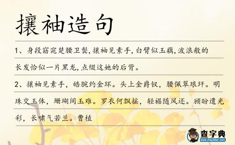 攘袖造句