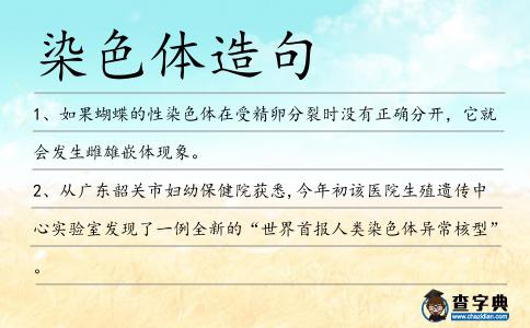 染色體造句