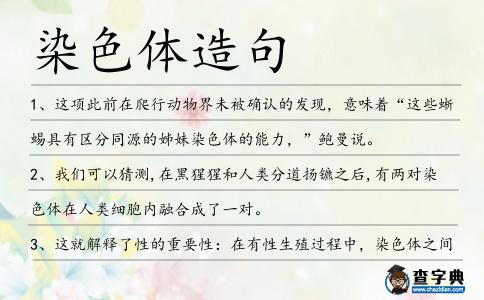 染色體造句
