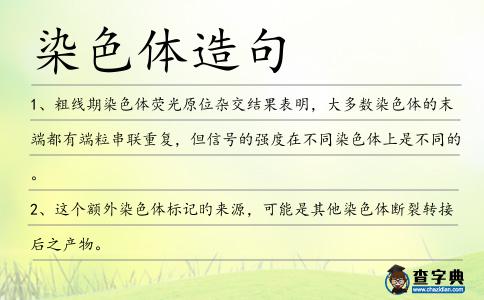 染色體造句