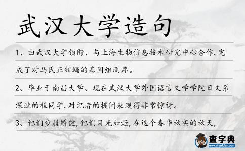 武漢大學造句