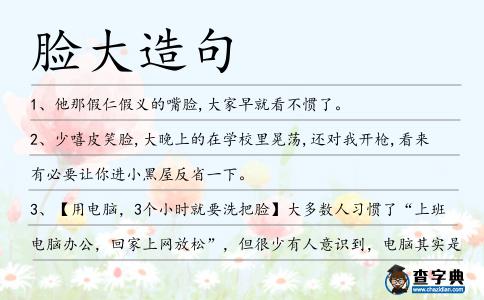 臉大造句