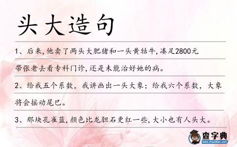 頭大造句