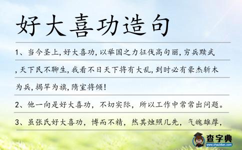 好大喜功造句